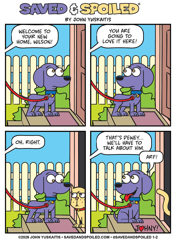 Dog being welcomed to new home with cat nearby in dog and cat comics