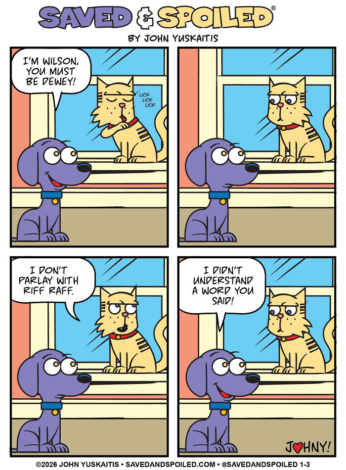 Dog and cat awkwardly meeting in a humorous dog and cat comic