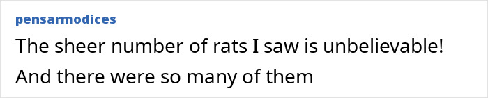 A screenshot of a comment describing an unbelievable number of rats, hinting at the dark side of Japan.