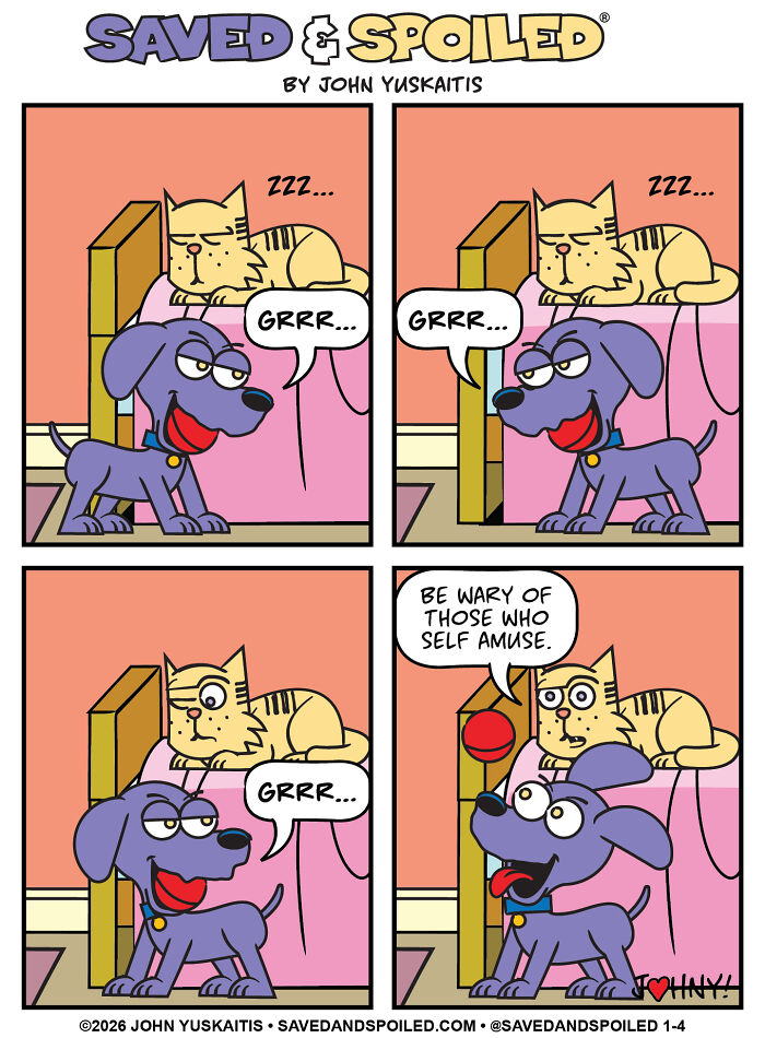 Dog and cat comic illustrating playful interaction in a dog and cat comic strip