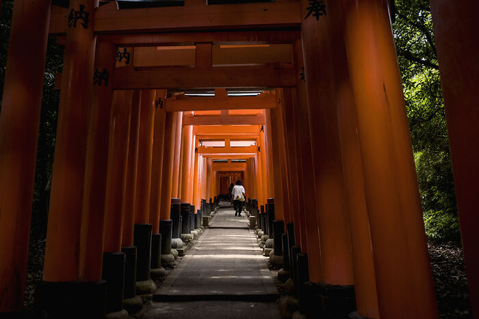 I Spent 10 Days In Japan Capturing Cinematic Street Moments (30 New Photos)