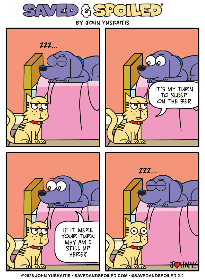 Dog and cat argue over bed time in dog and cat comic