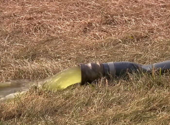 A pipe discharging greenish-yellow water onto dry grass, representing the Reflecting Pool being drained for renovation.