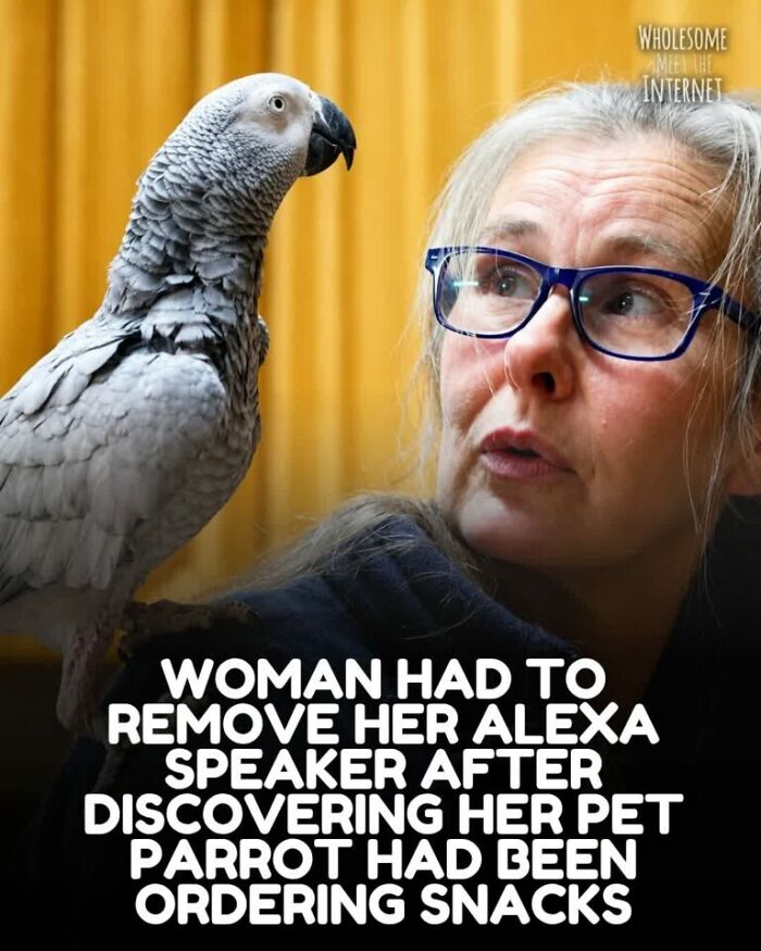 Woman with pet parrot discovered ordering snacks via Alexa speaker in wholesome internet story