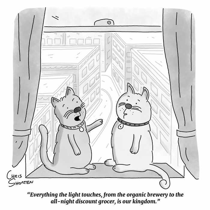 This Cartoonist Finds Humor In Everyday Absurdities, And Here Are 41 Of His Funniest Comics