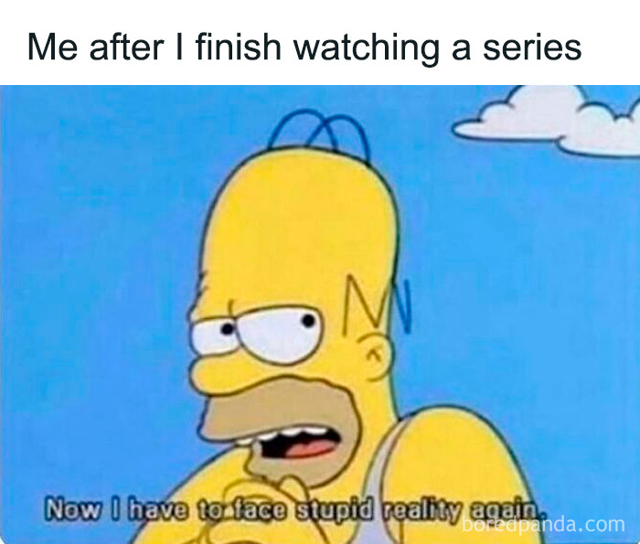 Homer Simpson meme about finishing a series and facing reality again from random memes collection