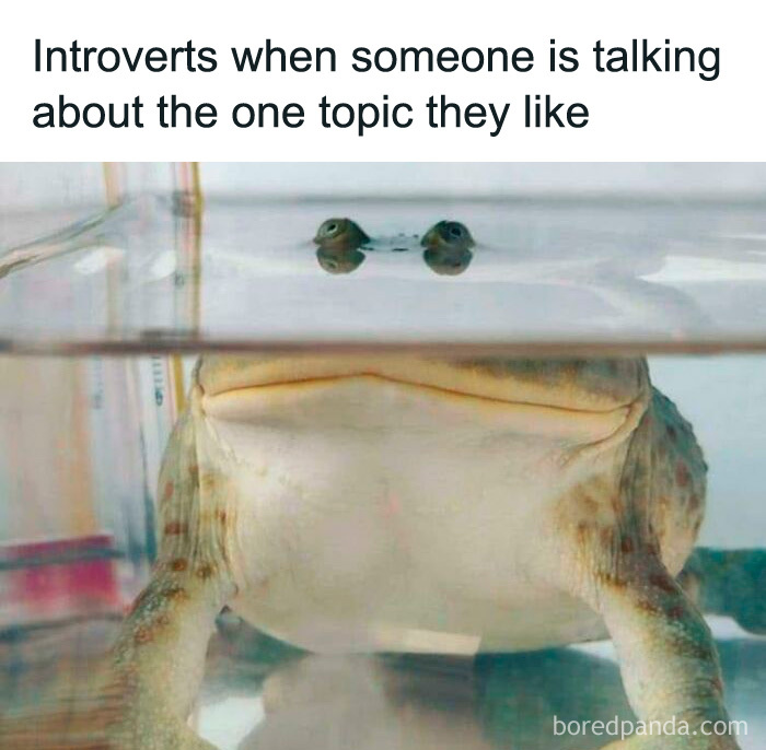 A funny meme of a frog peeking out of water, labeled Introverts when someone is talking about the one topic they like, for entertaining posts.