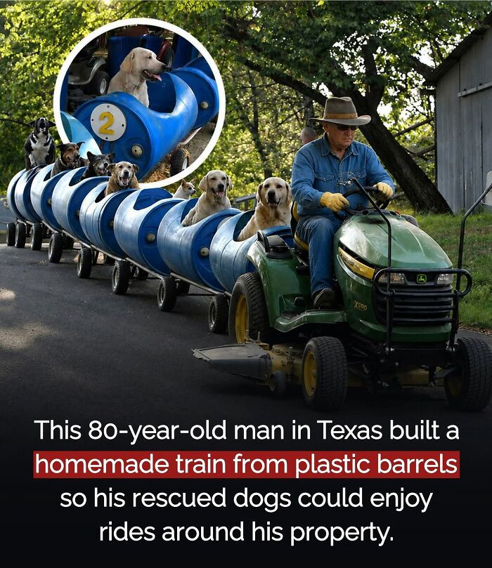 26 Animal Stories So Wholesome, They Might Just Be The Best Thing You See Today