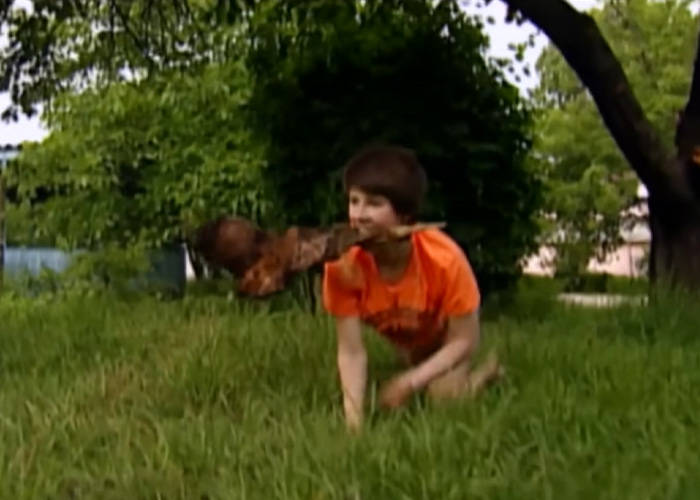A girl raised by dogs, on all fours in grass, carrying a stick in her mouth like a dog. A girl raised by dogs, on all fours in grass, carrying a stick in her mouth like a dog.