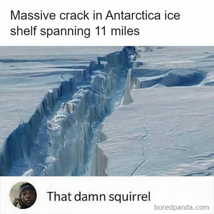 A massive crack in an Antarctic ice shelf, a hilarious meme for staying sane in this crazy world, with the caption 'That d**n squirrel'.