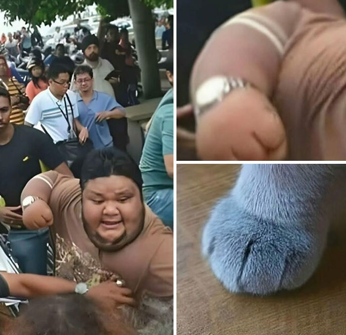 Hilarious memes comparing a man's arm and hand to a cat's paw, to help you stay sane in this crazy world.