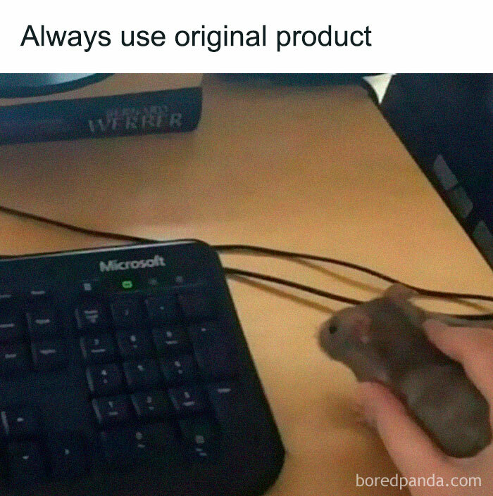 A meme featuring a hand holding a real hamster next to a computer keyboard, captioned Always use original product. Hilarious memes.