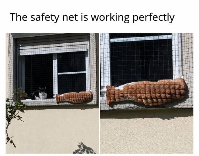 Entertaining cat memes: A cat in a safety net outside a window, stretched long like a cushion.