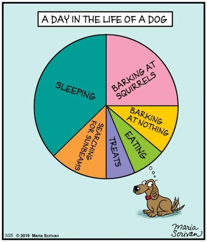 Maria Scrivan comic showing a pie chart of a dog's daily activities, including sleeping and barking.