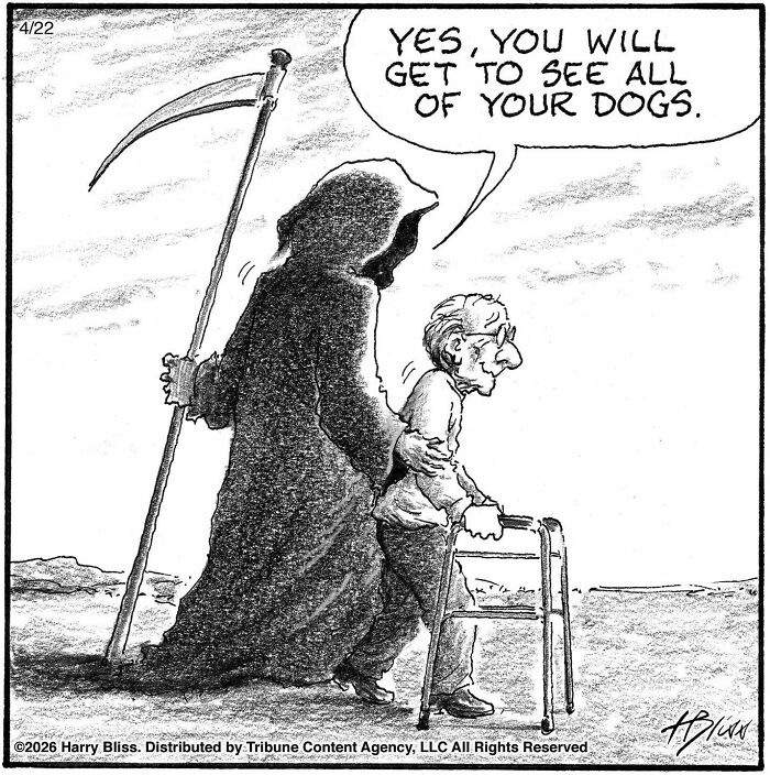 A New Yorker Magazine cartoonist's one-panel comic depicts D***h telling an old man he will see all his dogs.