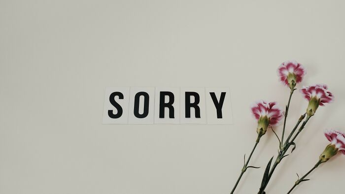 Sorry spelled with letters next to flowers symbolizing moral dilemma and apology