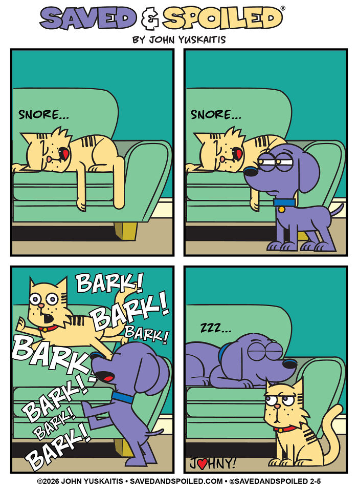 Dog and cat swap sleeping spots in dog and cat comics