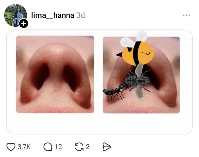 Close-up of nostrils with cartoon insects inside one nostril representing nostril discussion