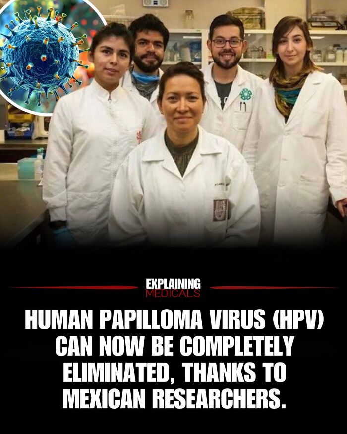Researchers in lab with inset of human papilloma virus HPV study