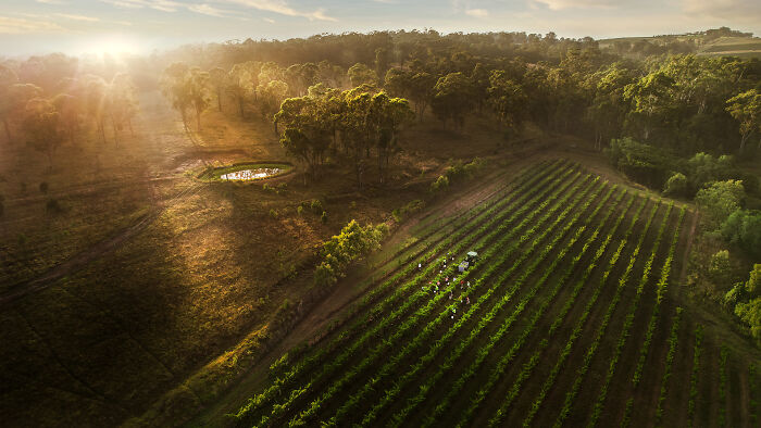 Louis Jadot Wine Photographer Of The Year - Places: The Hidden Vineyard By Chris Elfes, Australia