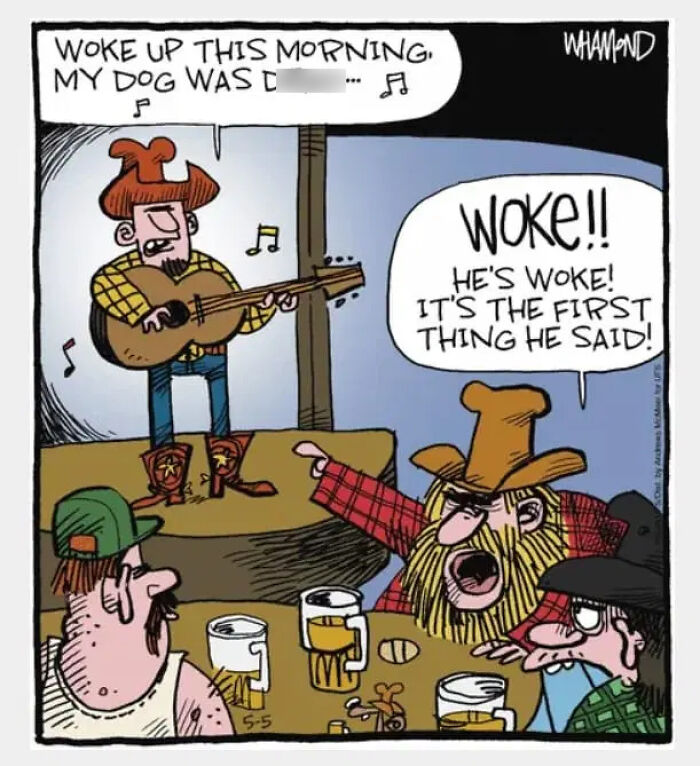 Clever comics by Dave Whamond capturing human nature: a country singer performs while bar patrons react to a surprising lyric about being 'woke'.