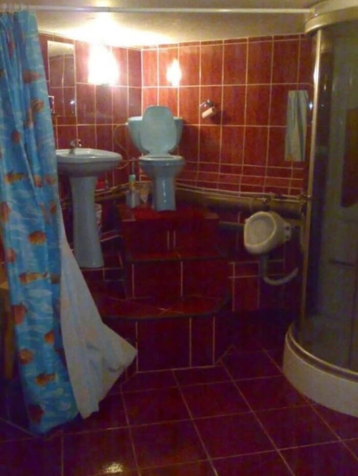 Bathroom design fail with toilet elevated on steps and urinal on wall