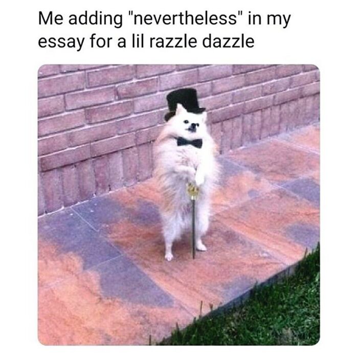 Dog in top hat with cane meme about adding nevertheless for razzle dazzle