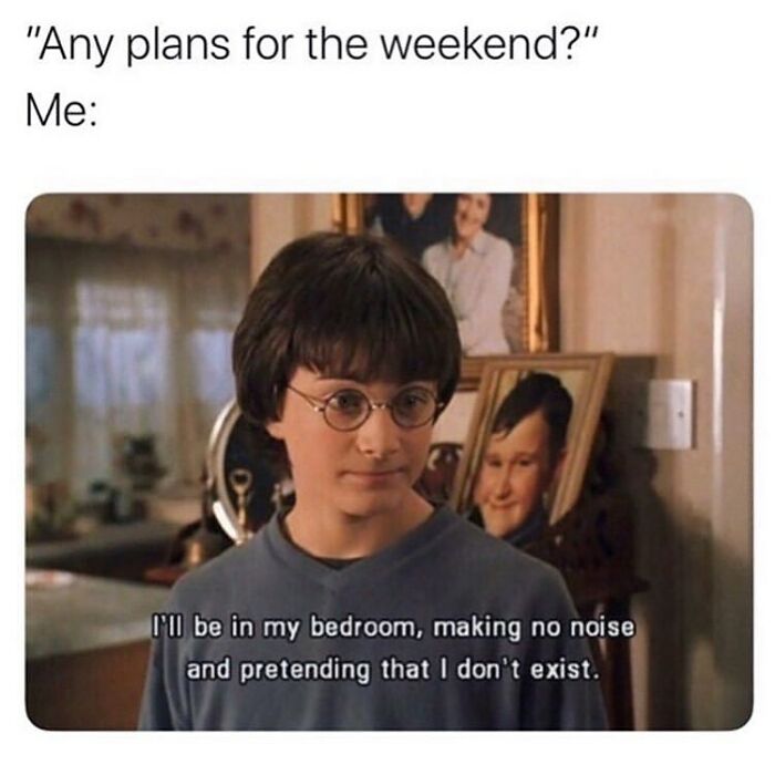 Harry Potter meme about spending weekend in bedroom pretending not to exist