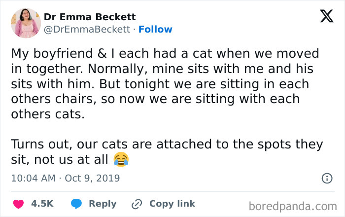 Real-life plot twist about cats preferring spots over owners seating
