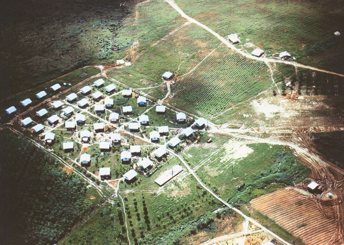 Aerial view of a community, capturing homes and roads in a green landscape; popular kids in high school.