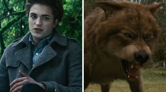 A split image for the Popular Fiction And Movies Would You Rather Poll, featuring Edward Cullen and a werewolf.