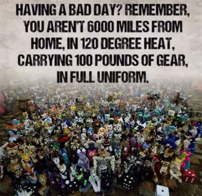 Chaotic and unhinged pic of a crowd of plush toys with motivational text above them.