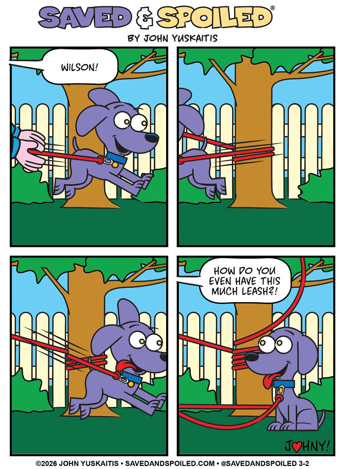 Dog tangled in leash around tree in dog and cat comics