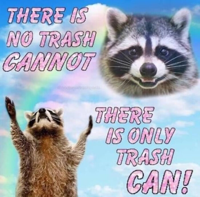 A blursed meme featuring two raccoons and text: There is no trash cannot, there is only trash can!