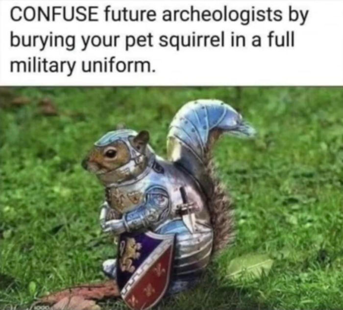 A blursed meme showing a squirrel in full military uniform, with text about confusing archeologists.