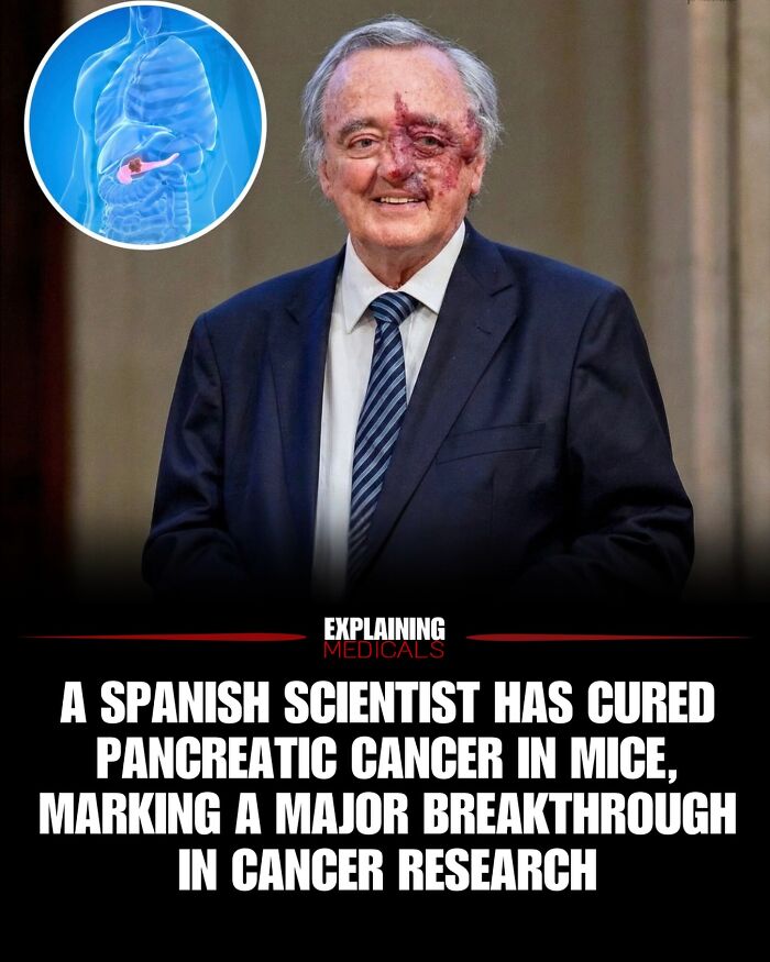 Spanish scientist's pancreatic cancer breakthrough in mice highlights cancer research