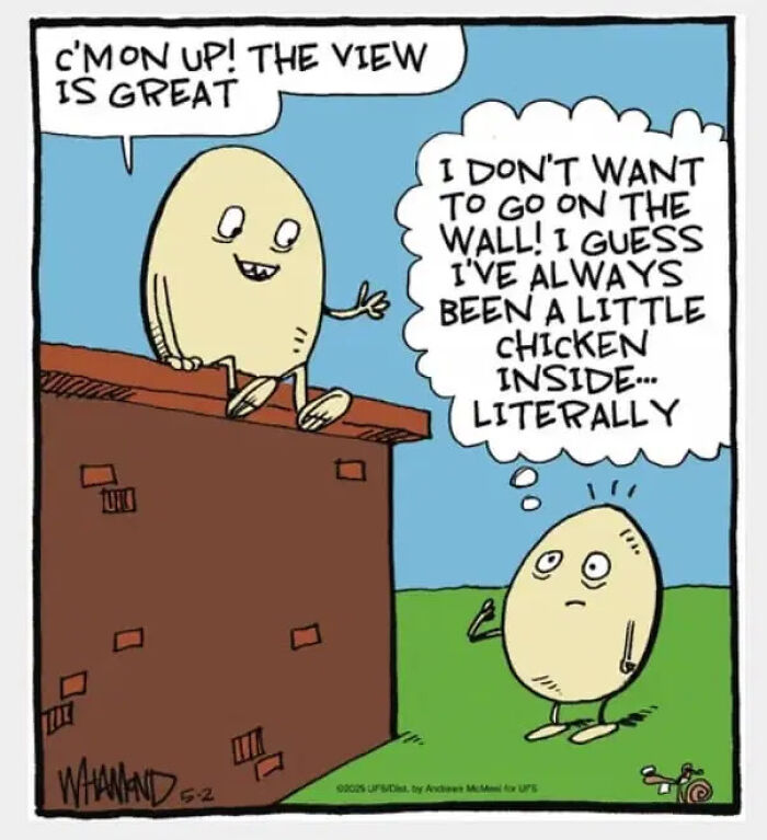 Clever comics by Dave Whamond capturing human nature: one egg encourages another to climb a wall, but the second egg is a bit chicken.