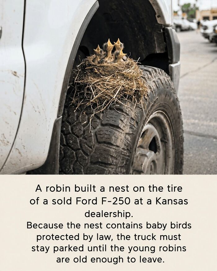 26 Animal Stories So Wholesome, They Might Just Be The Best Thing You See Today