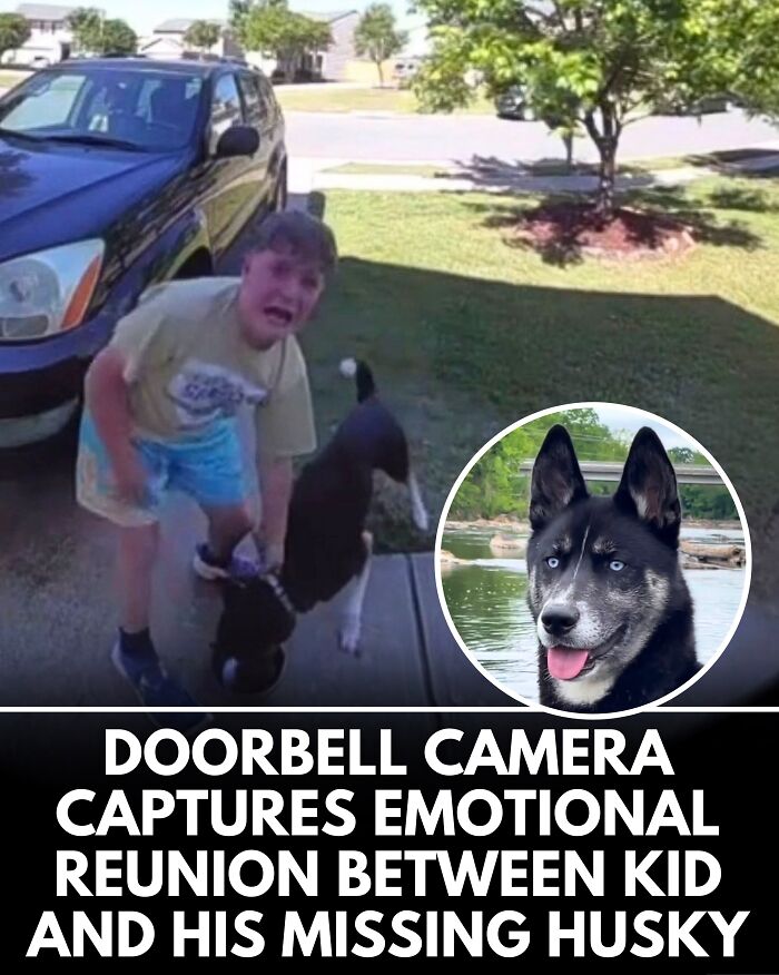 25 New Heartwarming Dog Stories That Prove Kindness Still Exists In The World