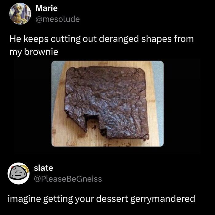 A brownie with a gerrymandered cut, a chaotic and unhinged pic of dessert gone wrong.