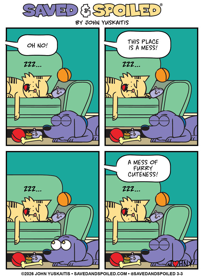 Dog and cat sleeping together in messy room in dog and cat comics