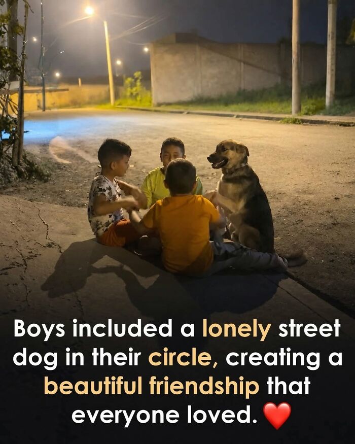 26 Animal Stories So Wholesome, They Might Just Be The Best Thing You See Today