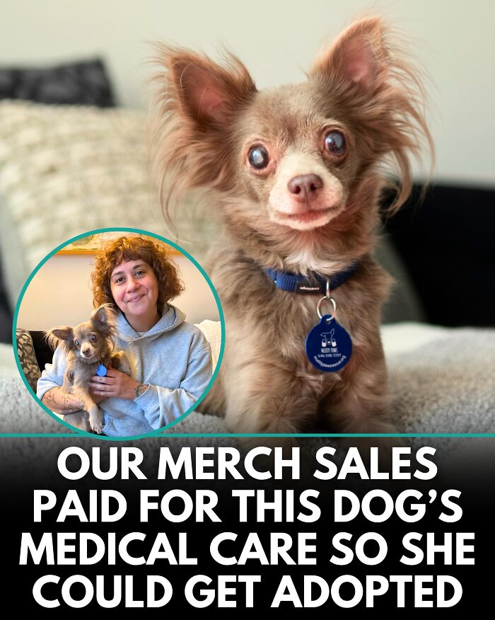 25 New Heartwarming Dog Stories That Prove Kindness Still Exists In The World