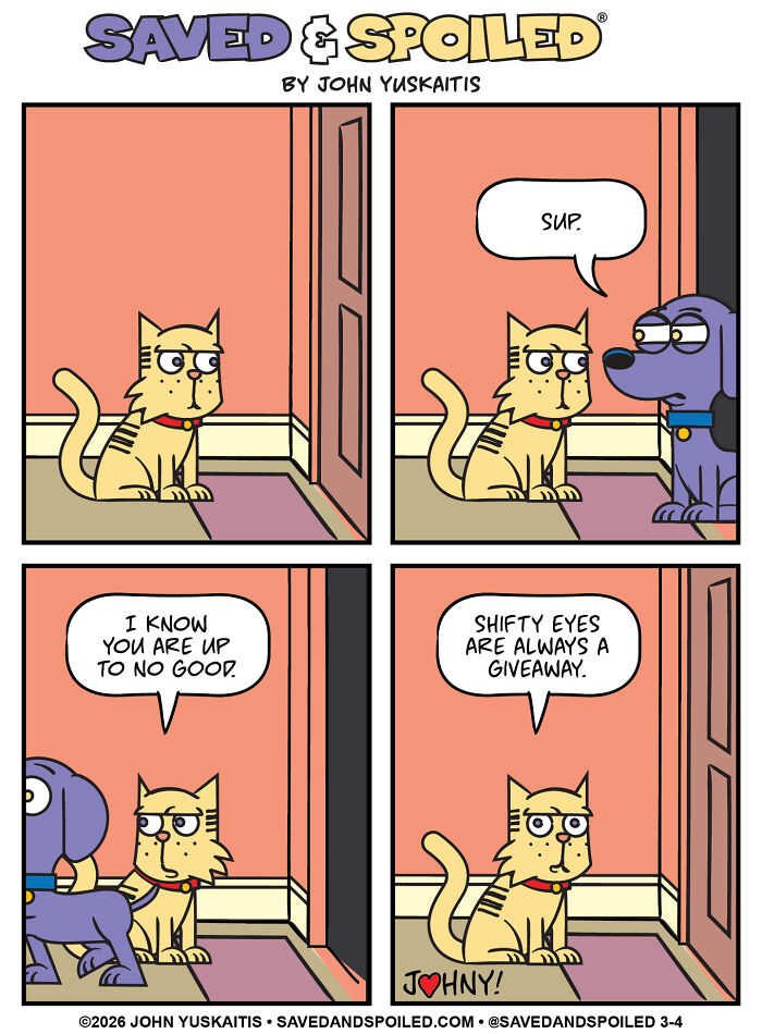 Cat suspects dog of mischief in dog and cat comics