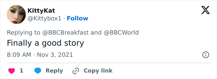 Tweet praising good story about 4-year-old girl vanishing from campsite Tweet praising good story about 4-year-old girl vanishing from campsite