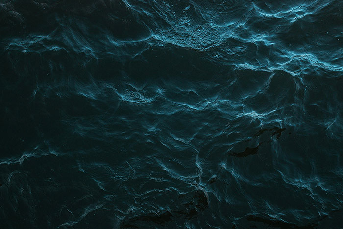 Dark murky ocean water hiding a shadowy sea creature
