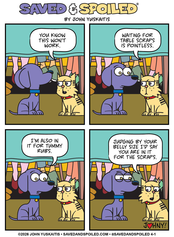 Dog and cat argue about waiting for table scraps in dog and cat comic