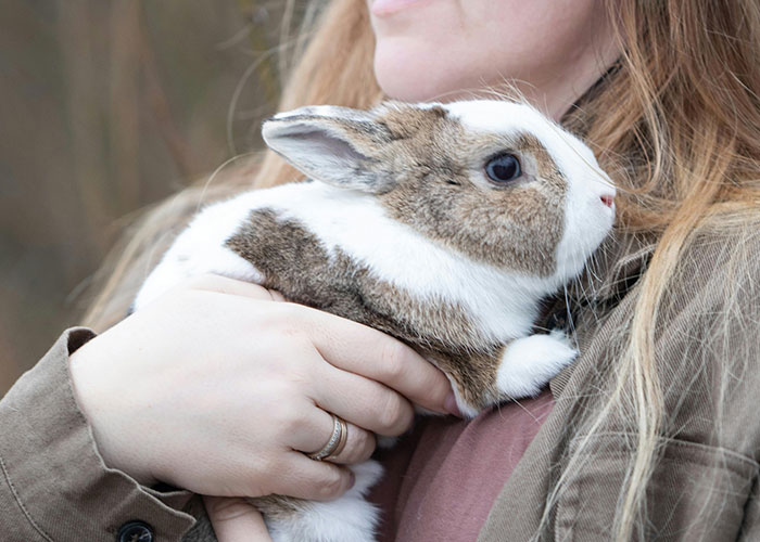 Woman holding white and brown rabbit close to chest, wild secrets theme