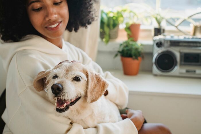 Happy dog being held by woman indoors with plants in background