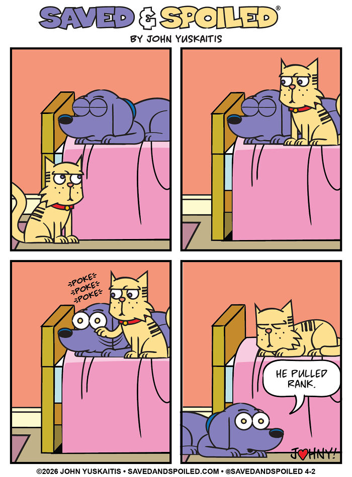 Cat wakes sleeping dog on bed claiming dog pulled rank in pet comic